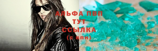 гашик Алзамай