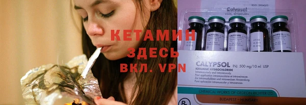 стаф Алексин