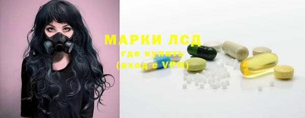 стаф Алексин