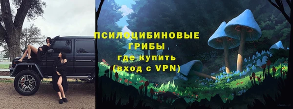гашик Алзамай